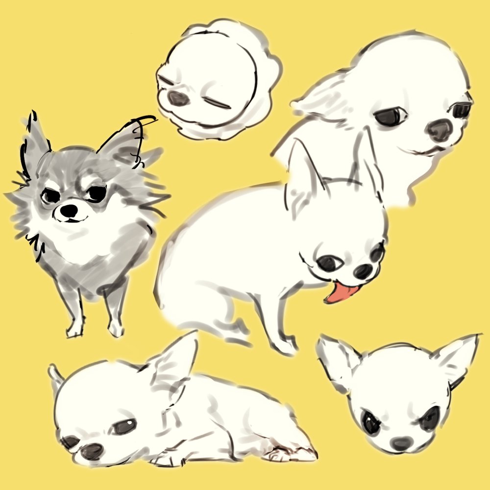 月面砂 (@argentum_1121) on Twitter photo 