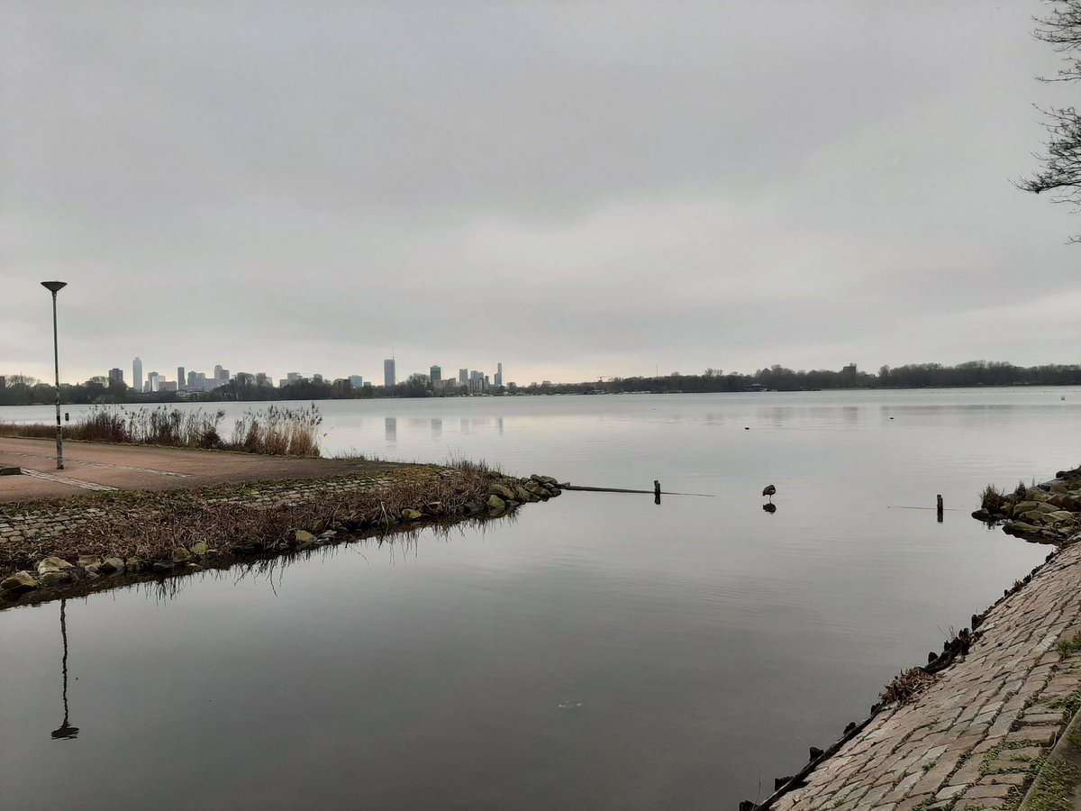 MEKloppenburg's tweet image. Uur gewandeld in het #Kralingse #Bos en langs de #Kralingse #Plas. #Rotterdam #Roffa #Kralingen #sneeuwklokjes #Plasmolens Fijn weekend!