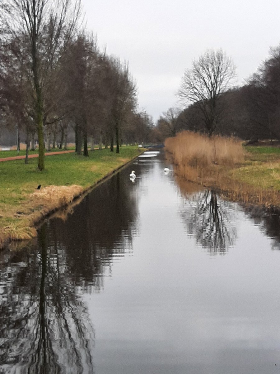 MEKloppenburg's tweet image. Uur gewandeld in het #Kralingse #Bos en langs de #Kralingse #Plas. #Rotterdam #Roffa #Kralingen #sneeuwklokjes #Plasmolens Fijn weekend!