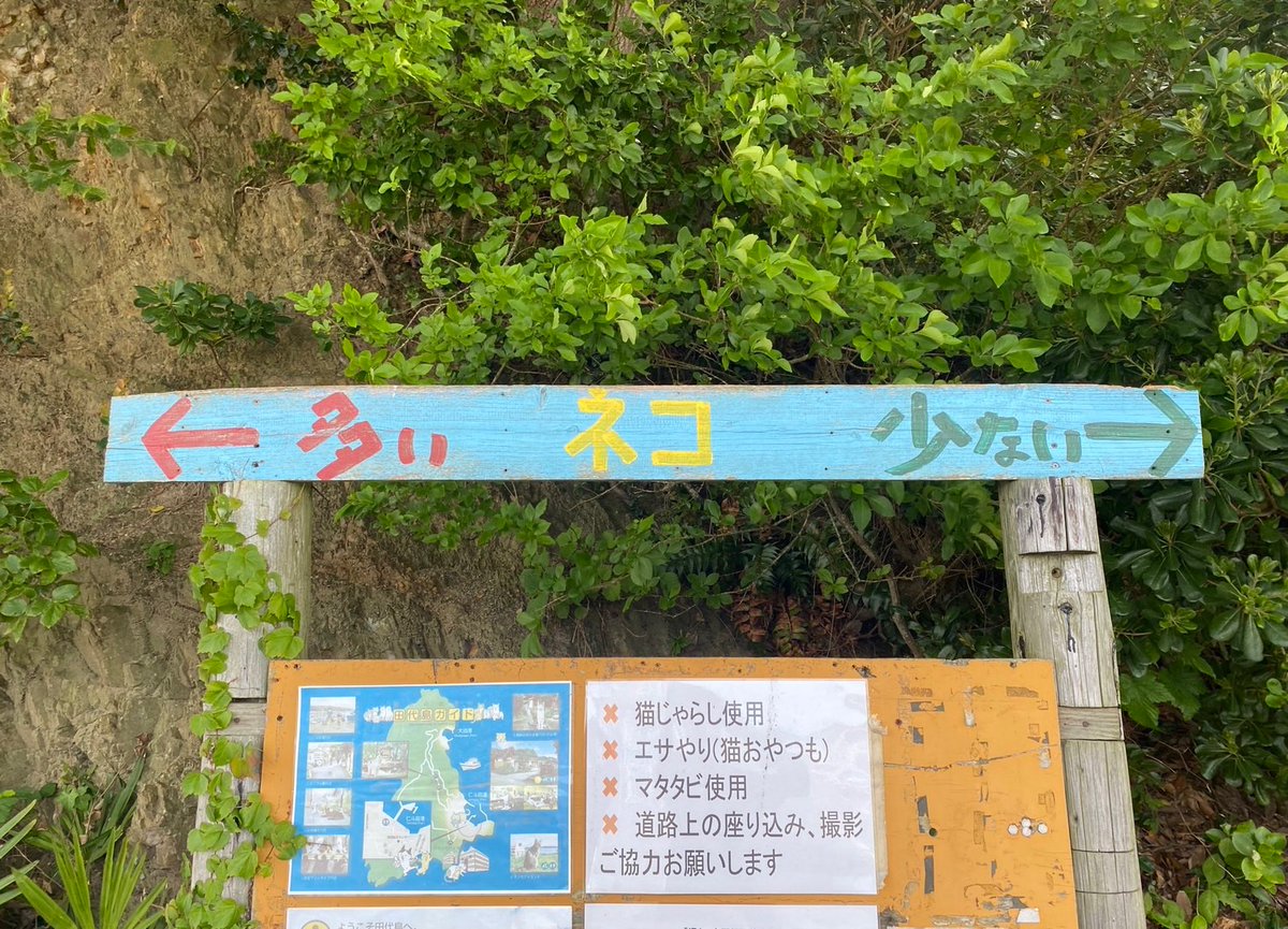 猫島にやってきたがこの道案内は草生える
