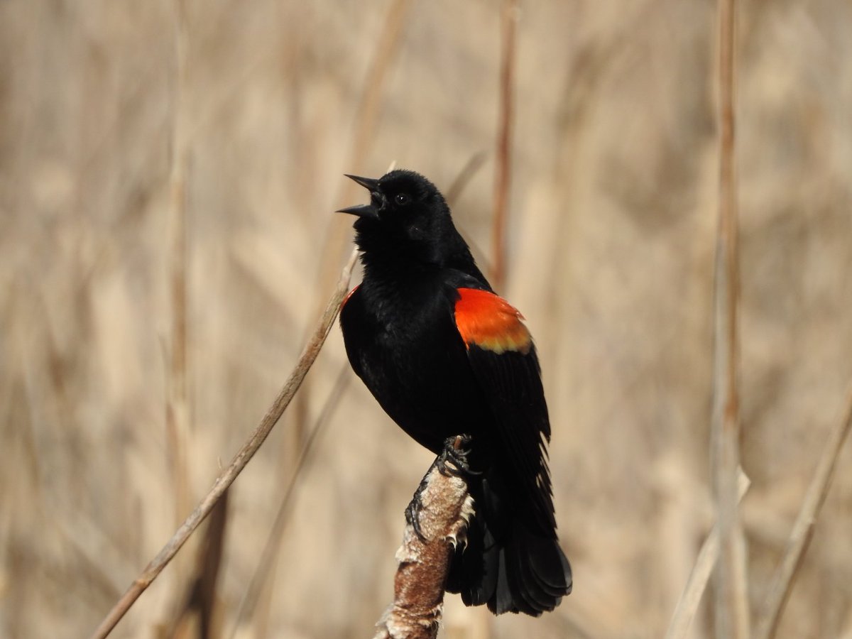 Casey Woodward (@casey_grey16) on Twitter photo 