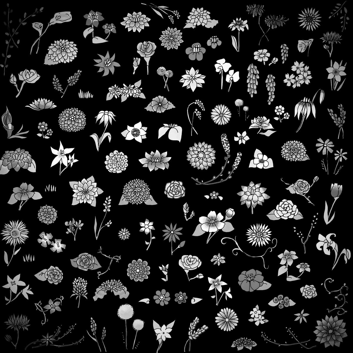 デザイン完成しました📢

『夜華図01 − カラー』
『夜華図01 −モノクロ 』

夜に咲いた花たちの図。
広げると図鑑。

夜の底で、ひっそりと咲く花。

それぞれの花が、
この作品の主役です。

夜を持ち歩く、小さな布。

初版は予約分のみ制作予定。
近日中に詳細お知らせします📢