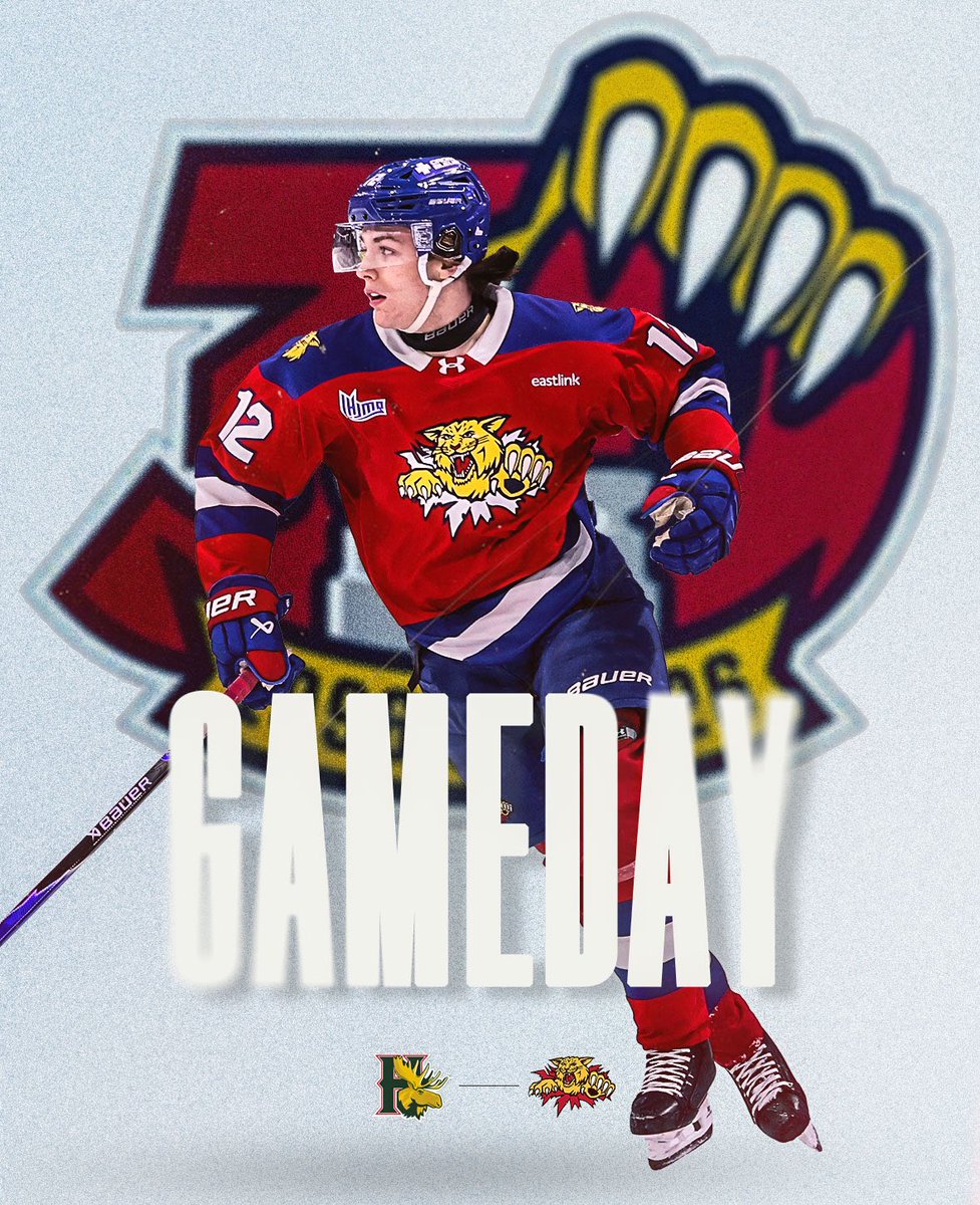MonctonWildcast's tweet photo. 𝑮𝒂𝒎𝒆𝒅𝒂𝒚
Wildcats head to Halifax to kick off this holiday long weekend.
⏰ - 7:00pm
💻 - FloHockey
🏟 - 𝙎𝙘𝙤𝙩𝙞𝙖𝙗𝙖𝙣𝙠 𝘾𝙚𝙣𝙩𝙧𝙚
#DefendTheDen #Wildcats30th #MONvsHFX
📸 - @DanielStLouis https://t.co/HLDmb09QZI