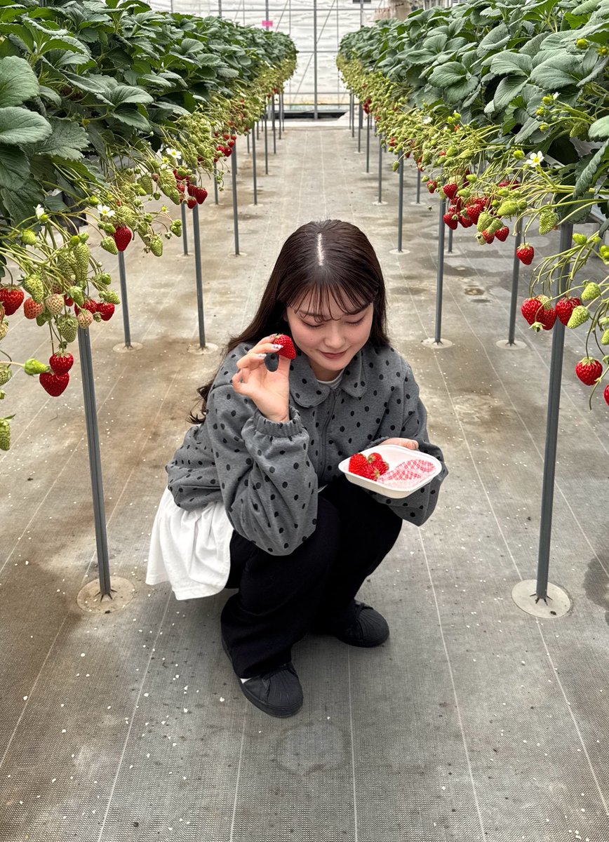 mayu〰︎ (@___mayu021) / Posts / X