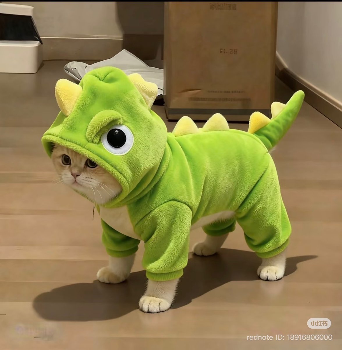 cutest cats tweet media