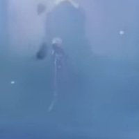 I'VE BEEN THROUGH THE ROCK ALLEGATIONS BEFORE 
RERIRRRRRRRRRRRRRRRRRRRRRRRRRRRR!??????????
I KNEW IT SO MUCH WILD HUNT IT HAS TO BE
#Rerir