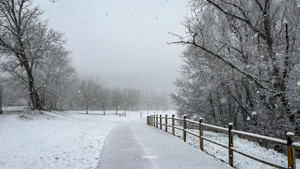 12a nevada de la temporada… i aquesta sí: la Seu d’Urgell finalment ha quedat ben blanca ❄️