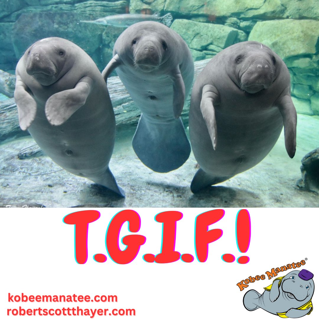 Kobee Manatee® tweet media