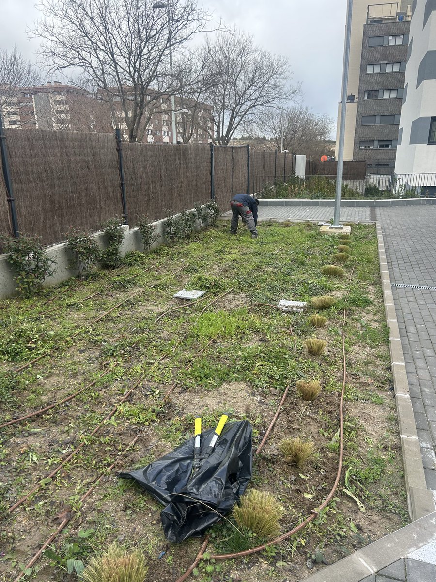 Hoy envían a un jardinero con 2 azadas para intentar arreglar meses de abandono.El trabajador hace lo que puede, el problema es la falta absoluta de medios y gestión. Esto no es una solución,es una tomadura de pelo #Avalon tan difícil tener un mantenimiento digno <a href="/ComunidadMadrid/">Comunidad de Madrid</a>