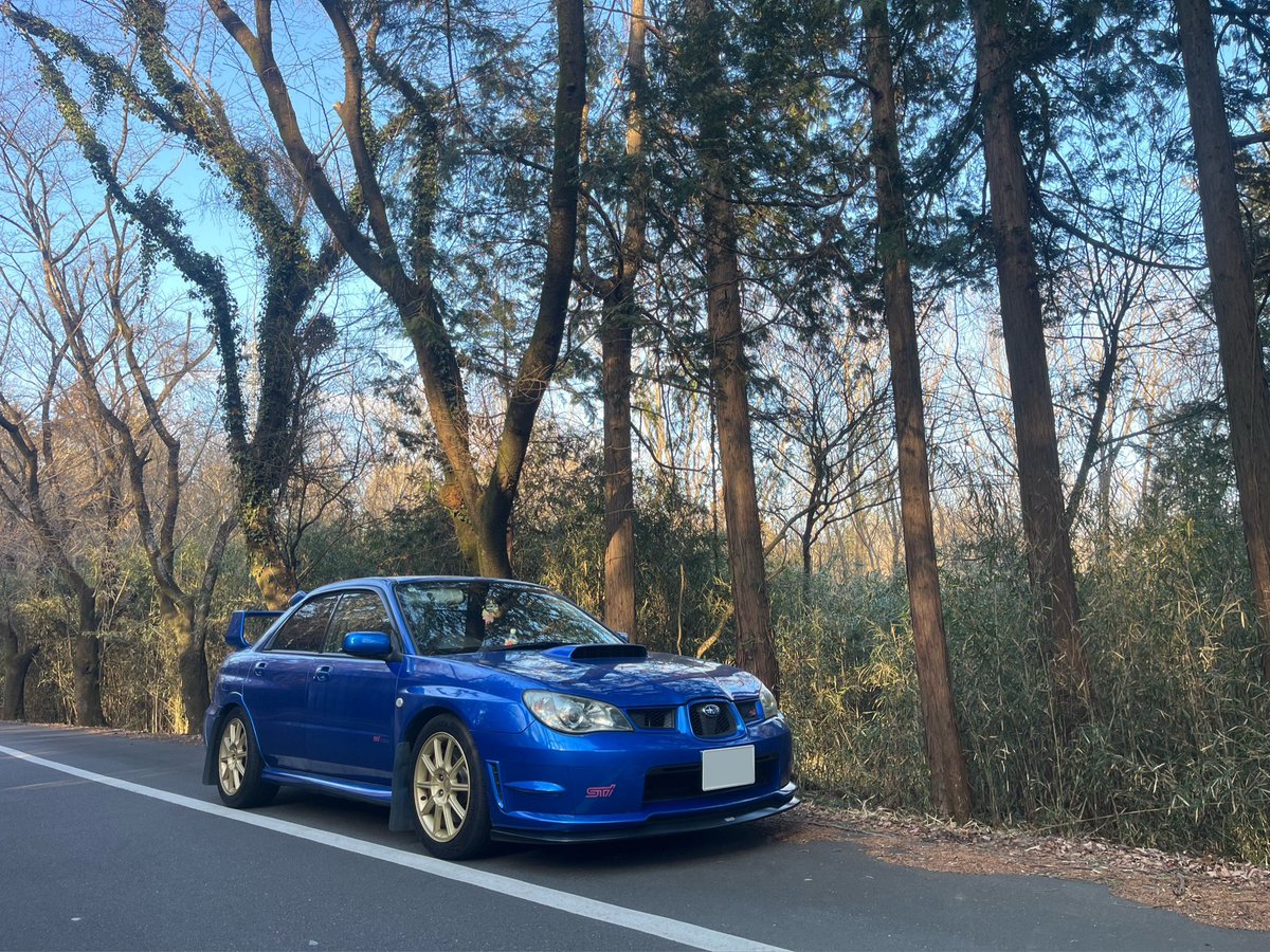 たくま tweet media