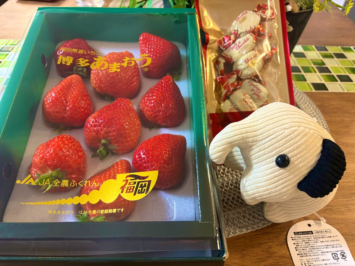 いちごの差し入れいただいちゃった🍓 蓋開けてびっくり！！おおき