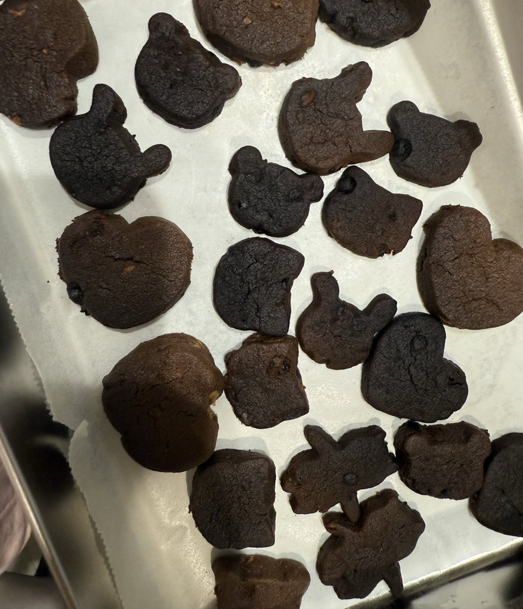 kzk_rabbit0's tweet photo. クッキー作るのむず！！！！！お菓子作りに苦手意識あったけど血迷って作ってみたら大半が焦げた！！！！！！オーブンに入るまでは思い通りだったのに！！！！！ https://t.co/2YzmDtCvCL