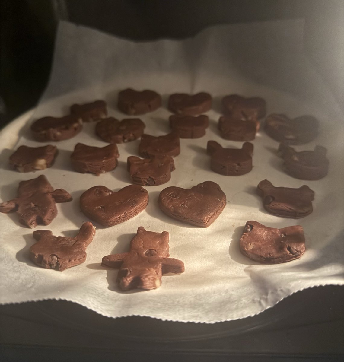 kzk_rabbit0's tweet photo. クッキー作るのむず！！！！！お菓子作りに苦手意識あったけど血迷って作ってみたら大半が焦げた！！！！！！オーブンに入るまでは思い通りだったのに！！！！！ https://t.co/2YzmDtCvCL