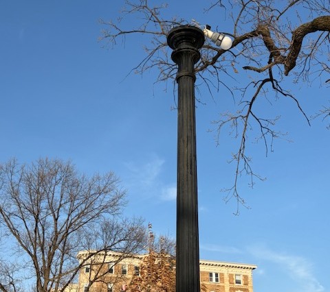 Sam Alcorn tweet media