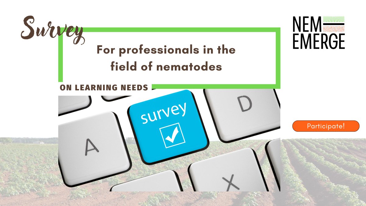 NEM-EMERGE tweet media