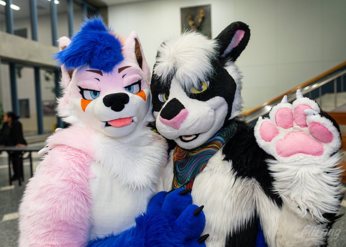 Finn @LVFC tweet media