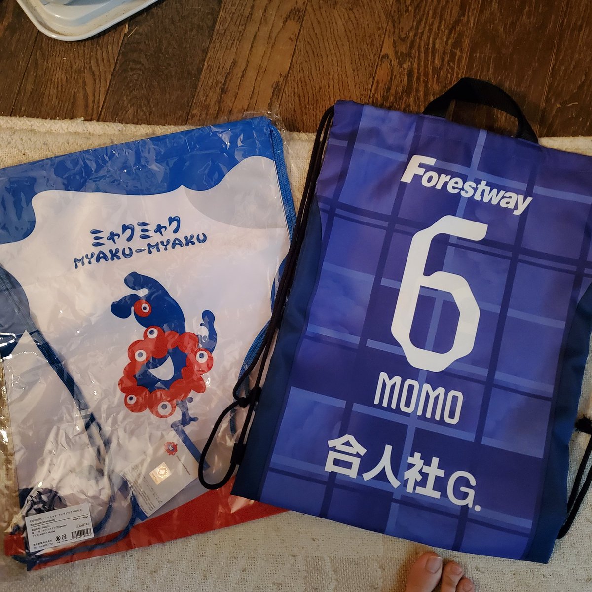 レジーナのバッグが届いた ミャクミャクとほぼ同じ大きさ