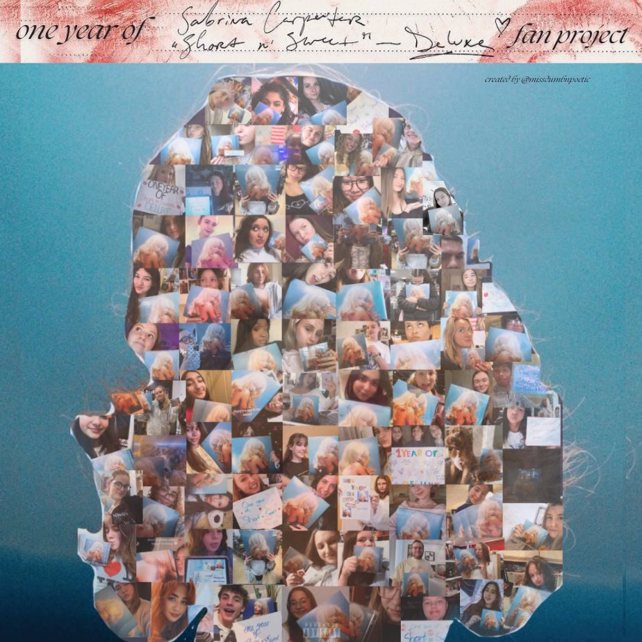 bea 🧁🐾 tweet media