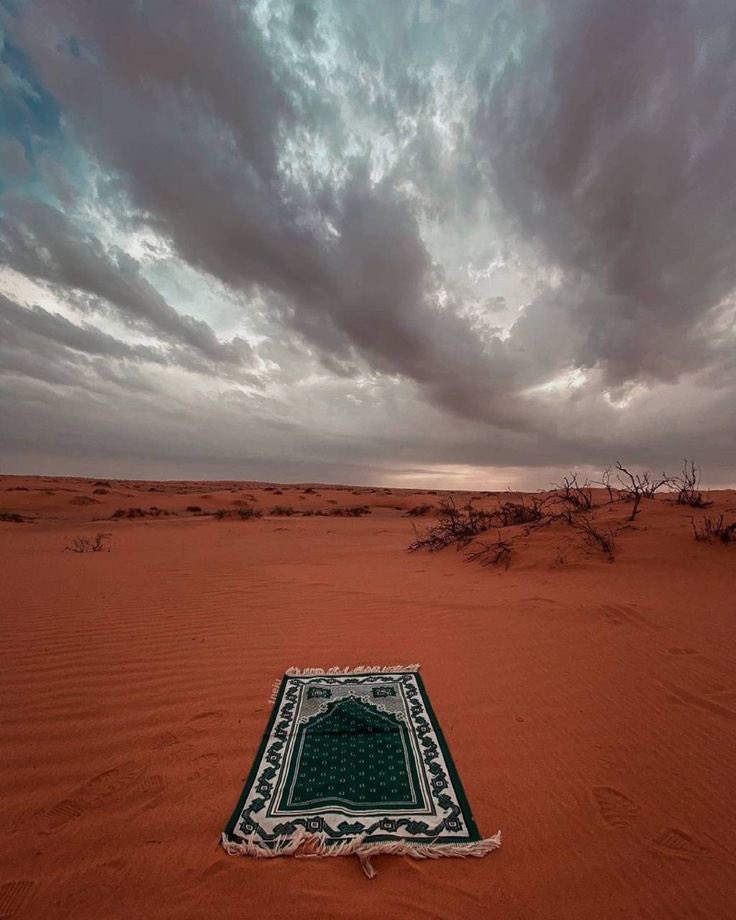 صورة وعنوان tweet media