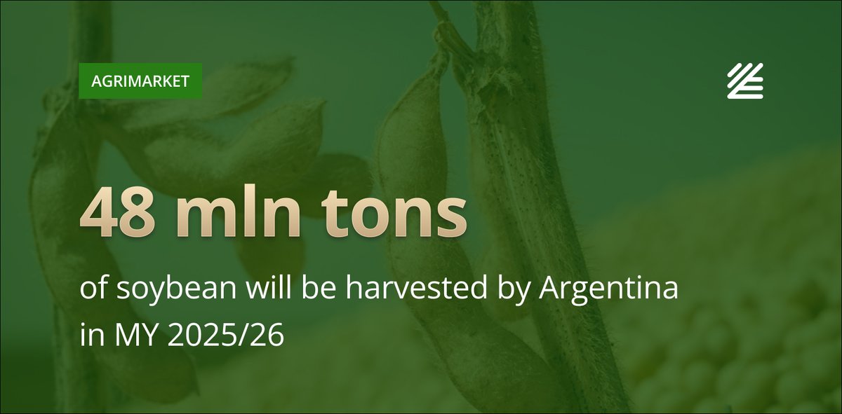 UkrAgroConsult's tweet photo. 🇦🇷 #Argentina may harvest over 48 mln tons of #soybeans

The Buenos Aires Grain Exchange has maintained its soybean production forecast for Argentina at 48.5 mln tons in the MY 2025/26, in line with its September estimate. 

Read more 👉https://t.co/MK3wWCCjCu https://t.co/AfULeGwkHj