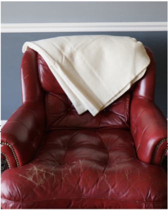 Experience Wool tweet media