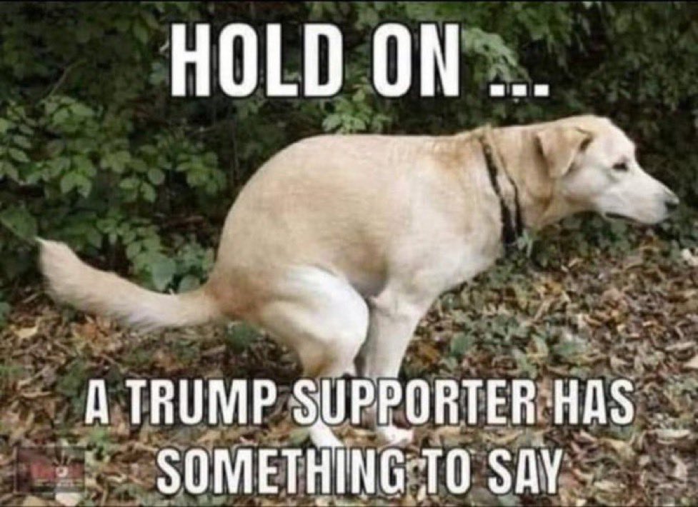 ddd Kicks the Cult to the Curb tweet media