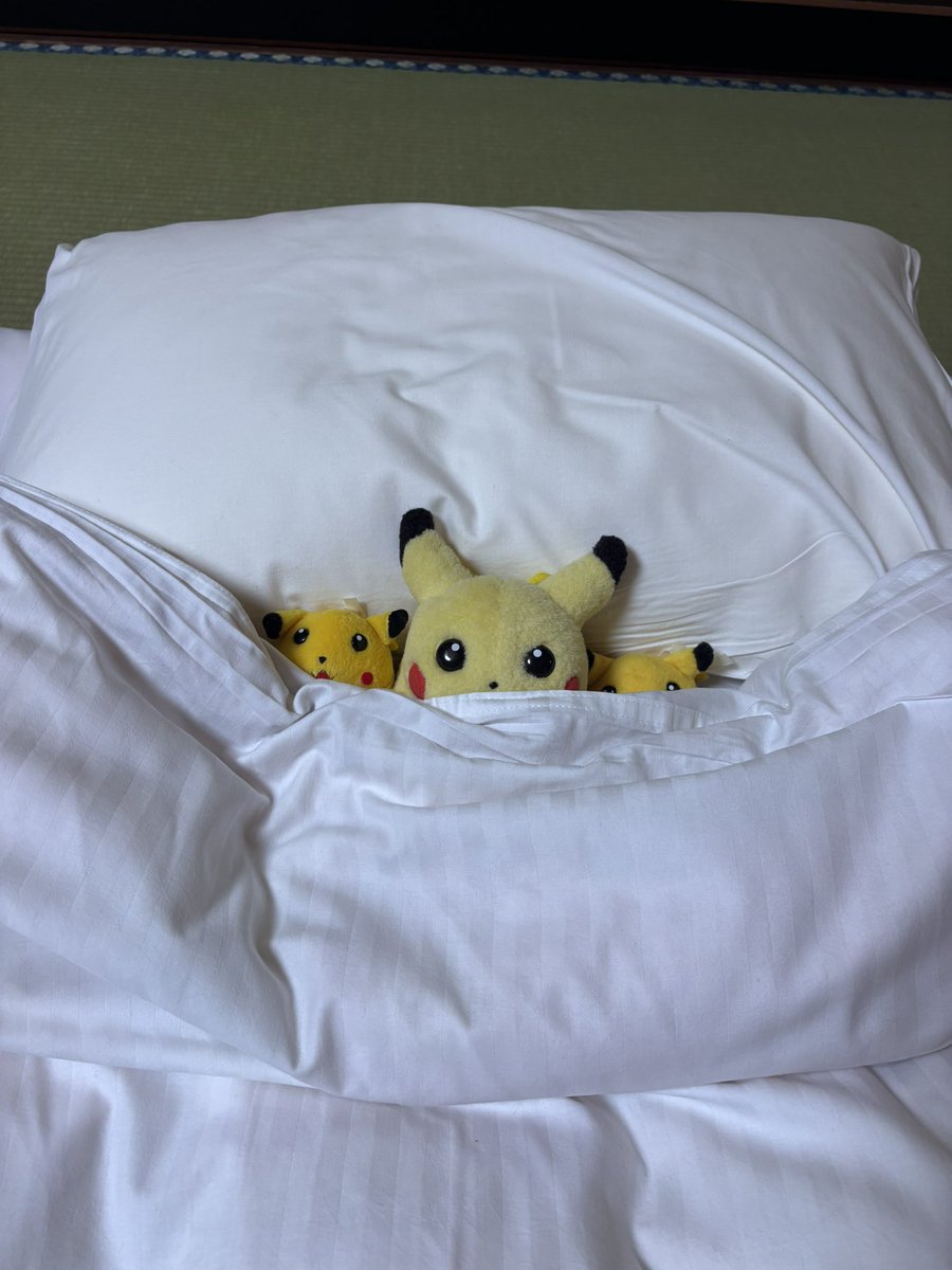 ねこのしもべ tweet media