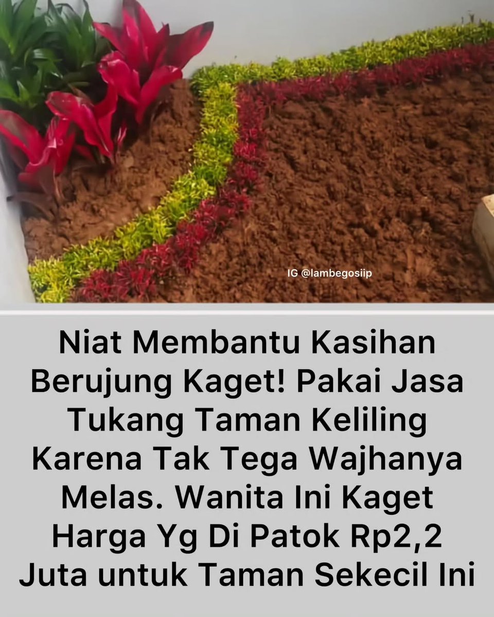 Some Thread tweet media