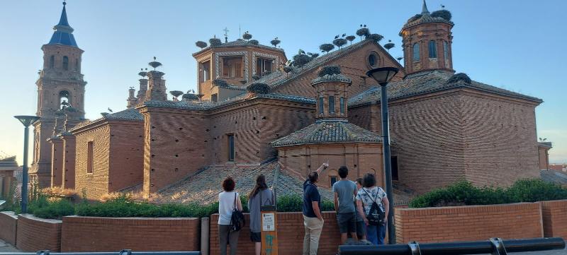 🪶 El Gobierno de La Rioja destina 94.000 euros a ayudas para la protección de la fauna y 6.000 para la conservación de las vías pecuarias.

🖇️ Info: actualidad.larioja.org/noticia?n=not-…