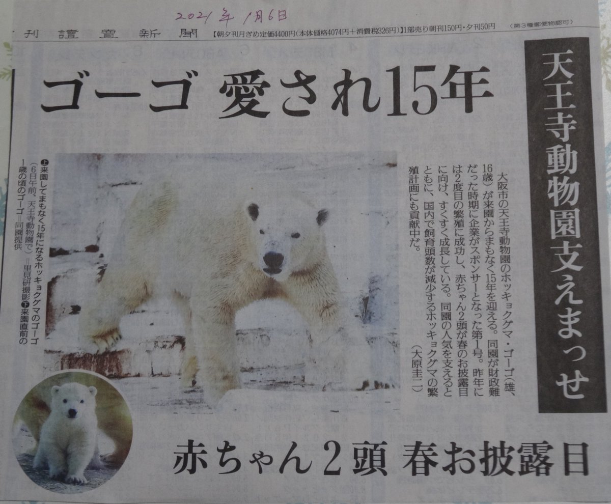2021.1.6 読売新聞
#天王寺動物園に居た頃のゴーゴ
ホウちゃん誕生は嬉しかったんですが、2021年3月にズーラシアへ😢
その前にはモモちゃん誕生後アドベンチャーワールドへ。
「天王寺動物園支えまっせ」？
どうか天王寺動物園さん、ゴーゴくんの遺体を天王寺に返してもらって下さい🙏