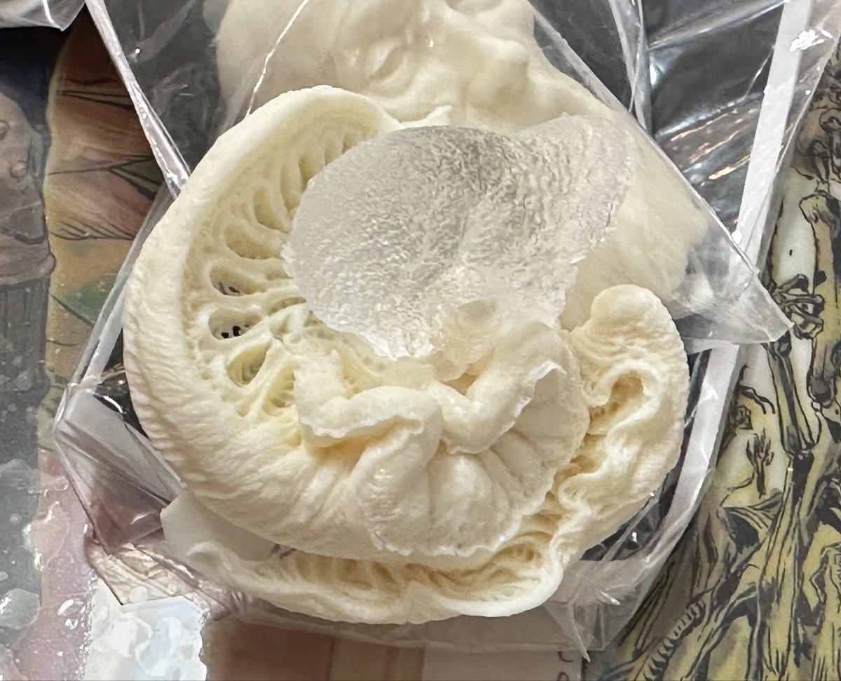 SaN WoNg tweet media