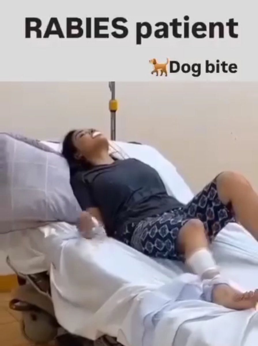 Ruhina Wajih tweet media