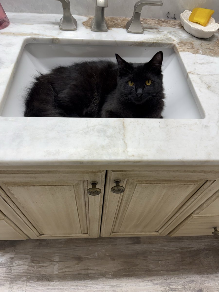 ChappleTracey's tweet photo. @DaveBondyTV Good morning from Cindy https://t.co/AdacAkZLGQ