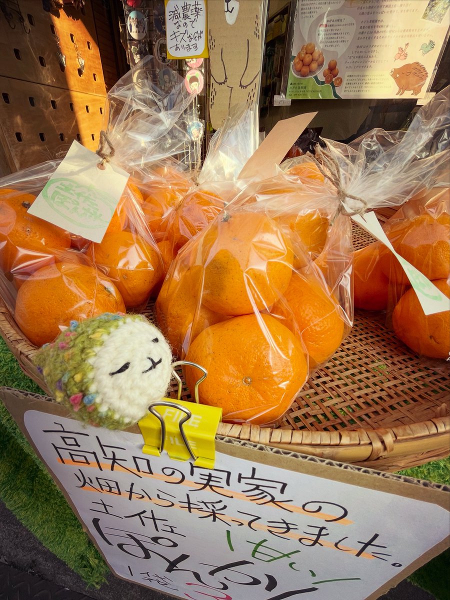 🍊ポンカンとおたま 再び

#江古田 のデザイン工房
虎の子屋 <a href="/toranoko_ya/">デザイン工房「虎の子屋」</a> さんのポンカン

以前買ってうまかったので再訪

#おたま #あみぐるみ
#amigurumi