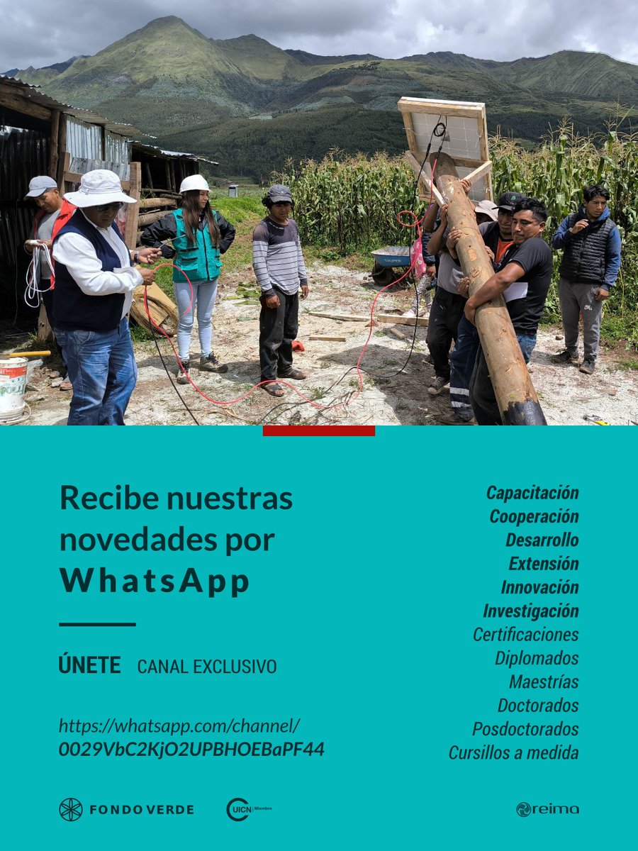 Fondo Verde tweet media