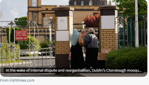 David Quinn tweet media