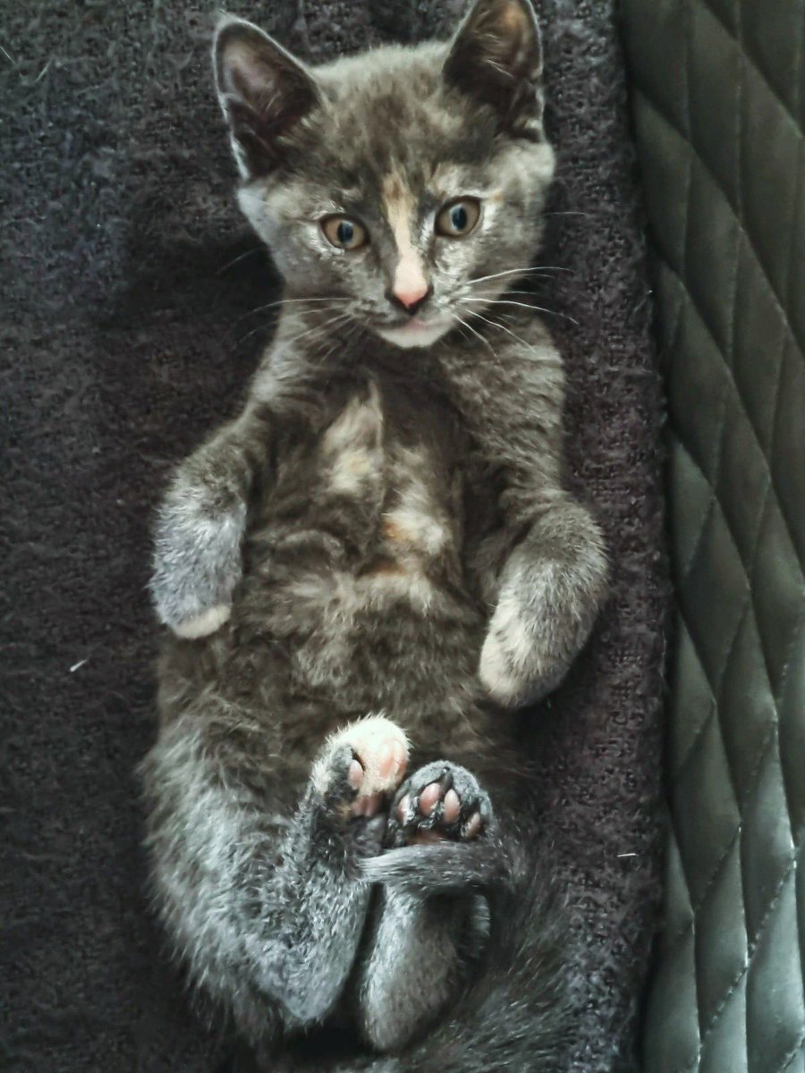 Croft Television tweet media