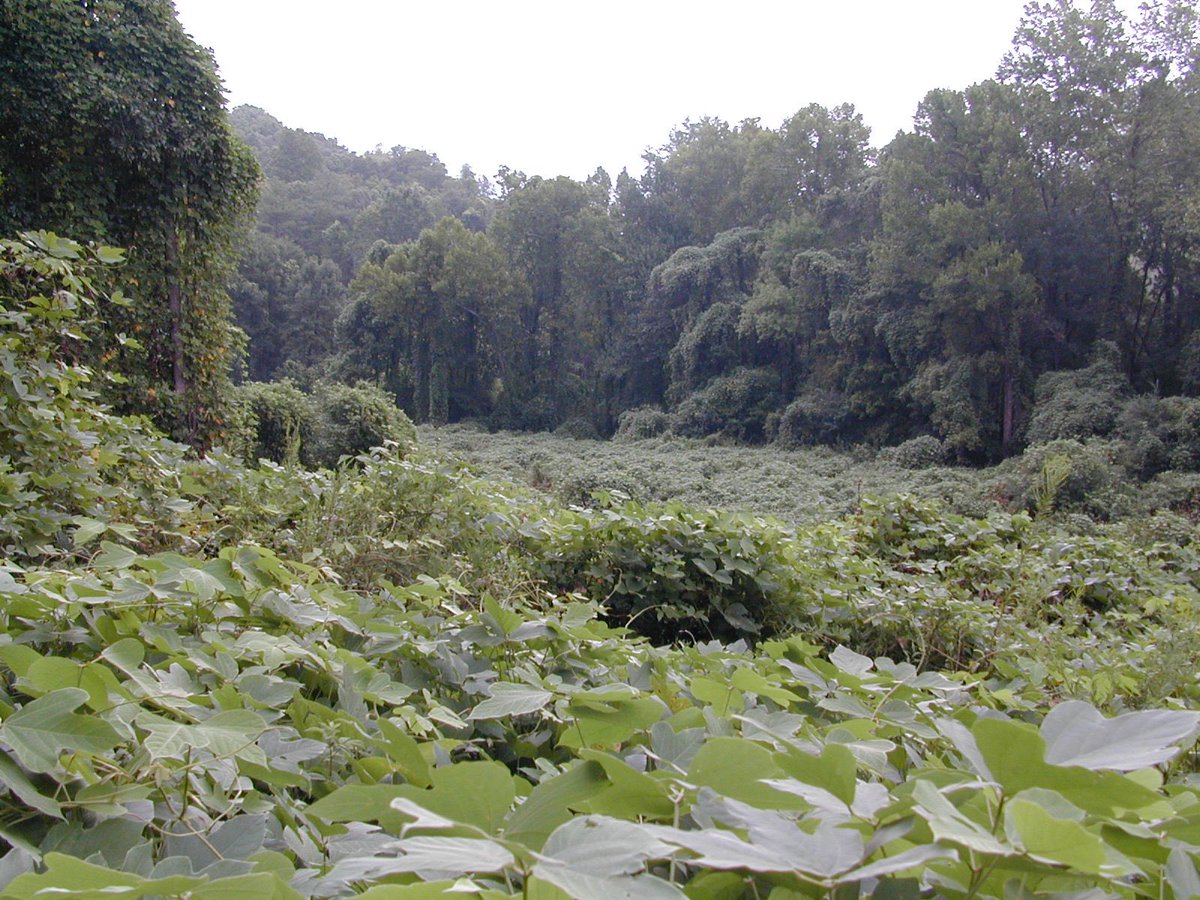 MoundLore tweet media