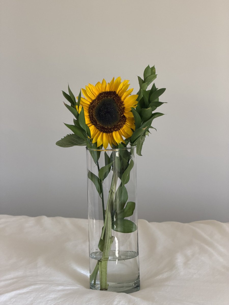 𝗩 nuage tweet media