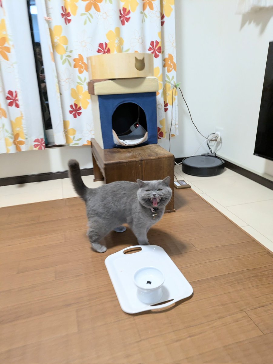 Takahata_P's tweet image. ただいま〜🥰