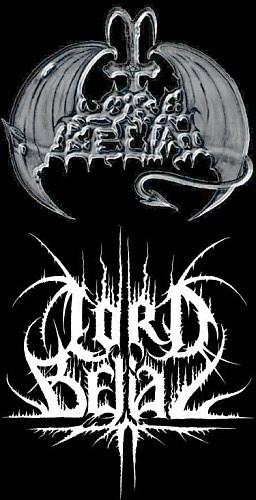 emile seal 🐺 tweet media