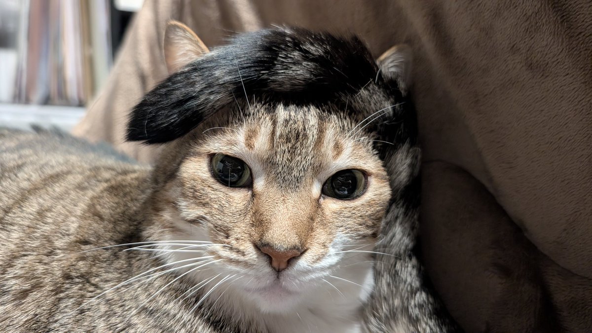 ずっと笑ってる