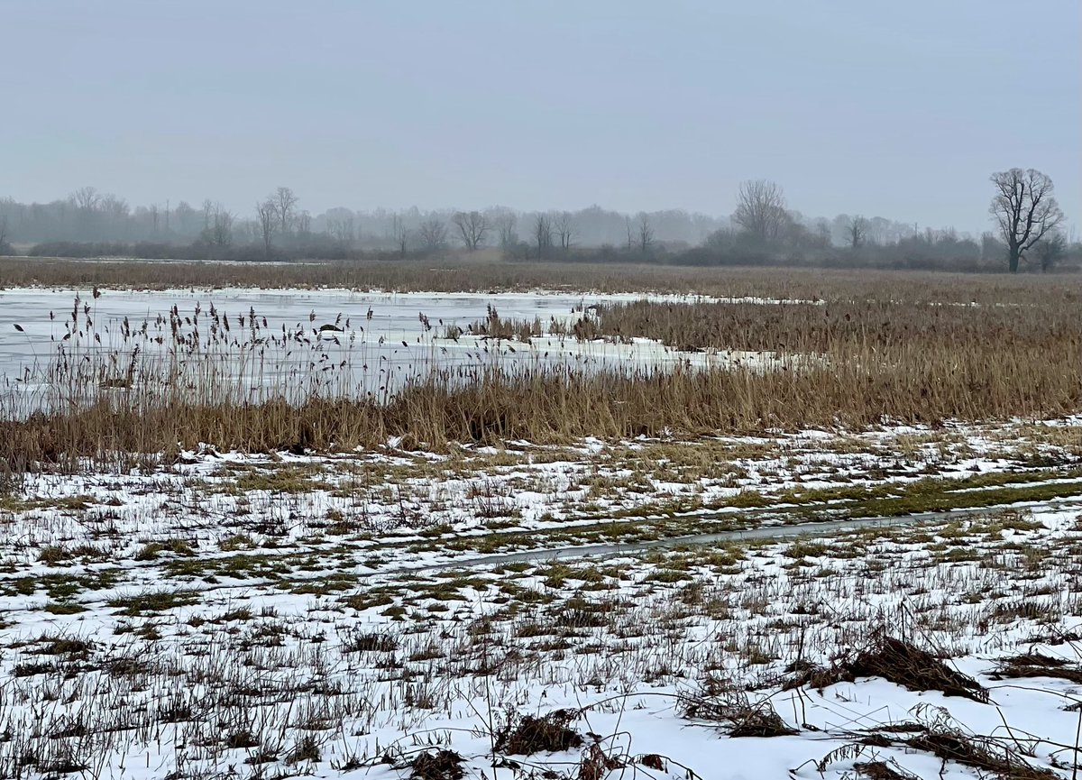 Nothing like a bout of 
Triskaidekaphobia
To sharpen senses