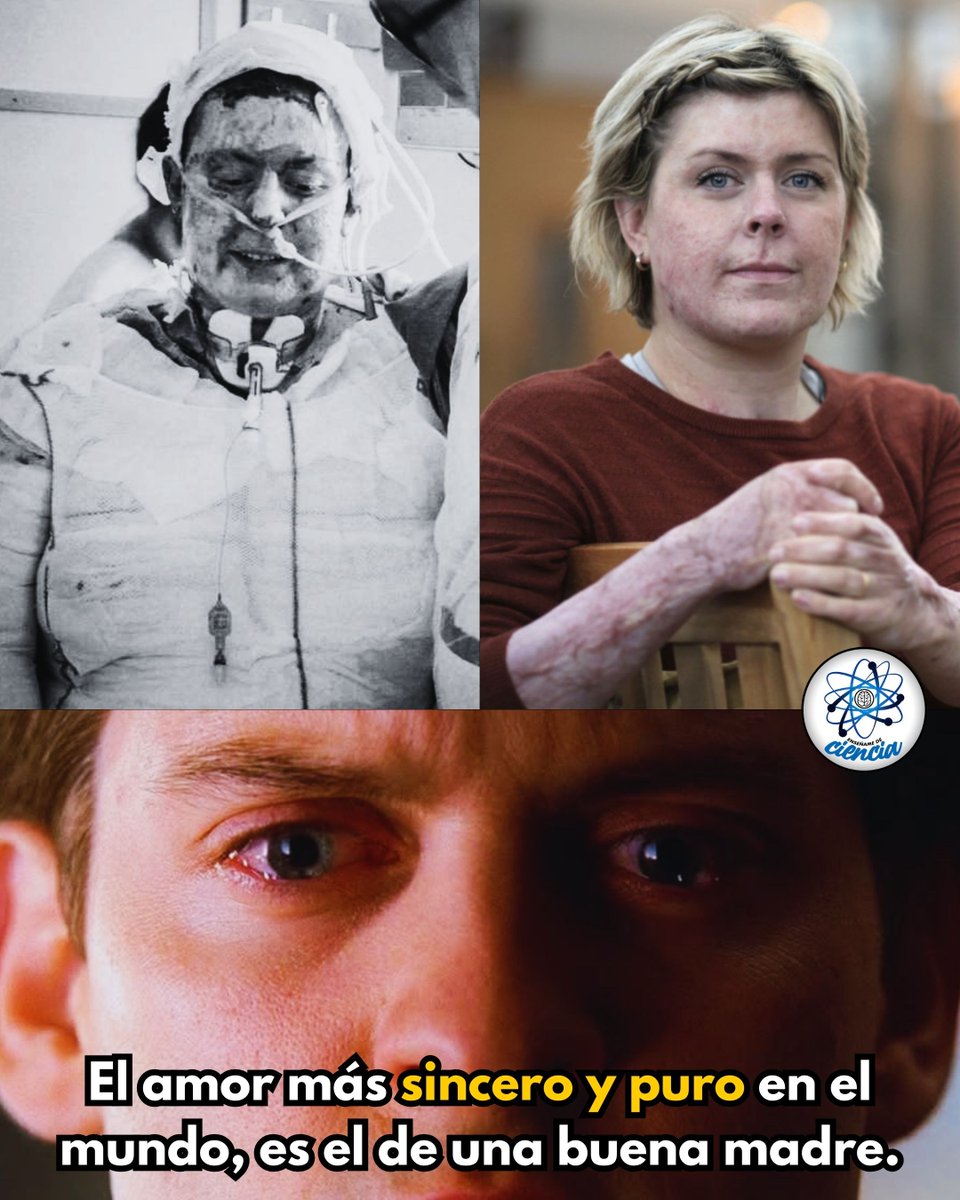 Enséñame de Ciencia tweet media