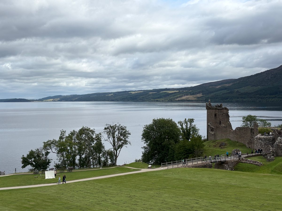 Robin de tuit 🦅🇮🇹🇶🇦 tweet media