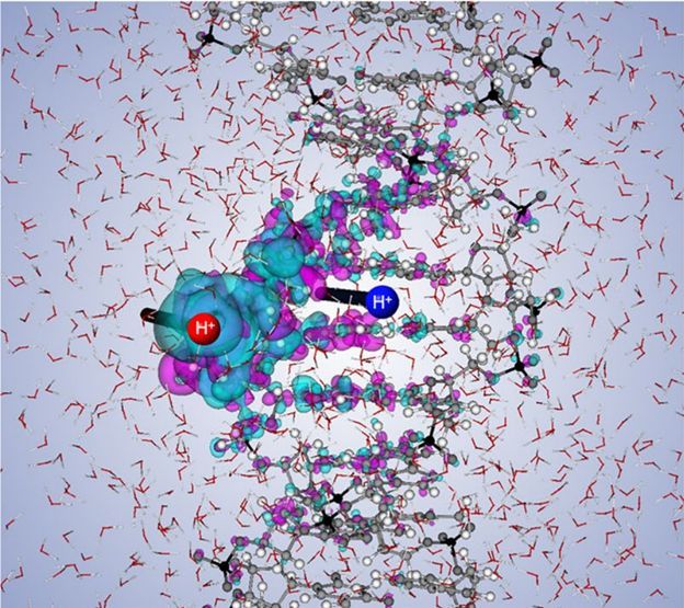 MRSBulletin's tweet image. In this #MRSBulletin opinion article, authors reflect on such #StateoftheArt theoretical calculations to complex systems such as #DNA in water remains highly challenging, yet it holds great promise for advancing the field. #ParticleRadiation #Protons