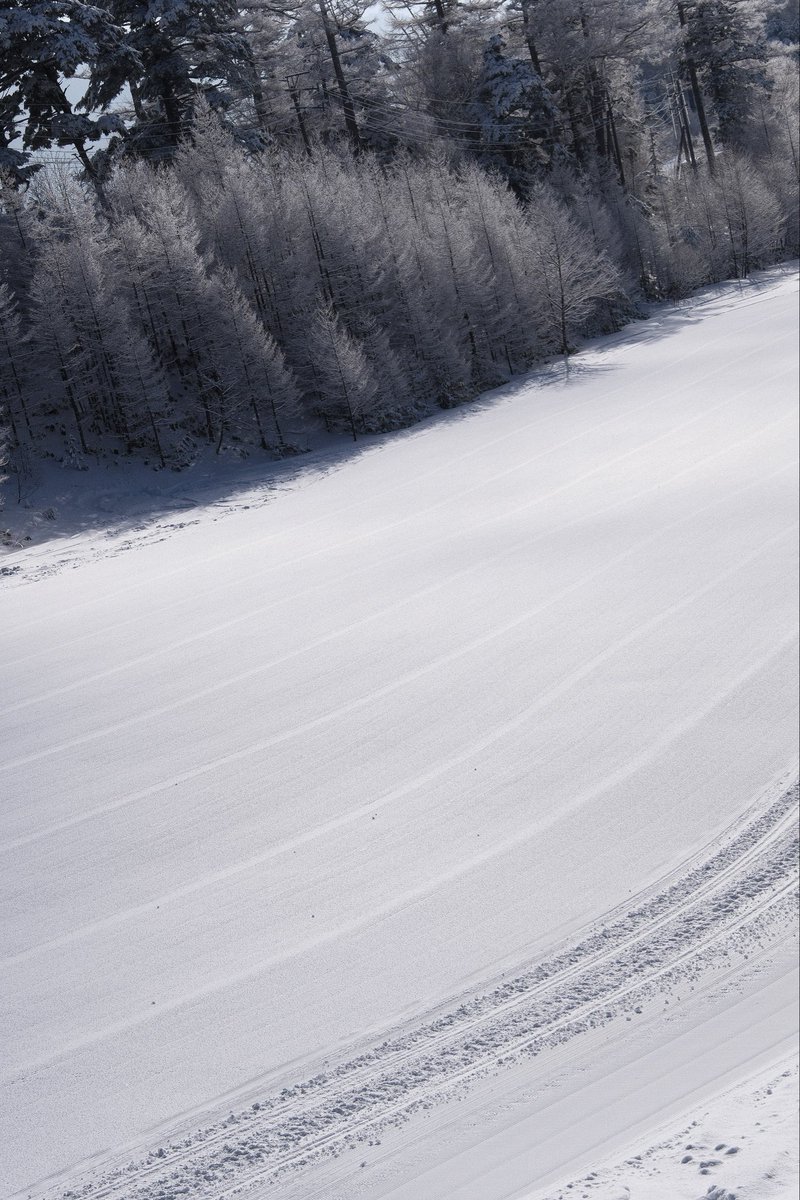 ontakeskijo's tweet photo. おそらく日本有数の気持ちいい圧雪バーンだと自負してます。
雪の量は少ないシーズンですが、質は特に良いと感じています。
#ontakeskijo https://t.co/CAObXTdF5o