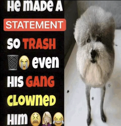 litu tweet media