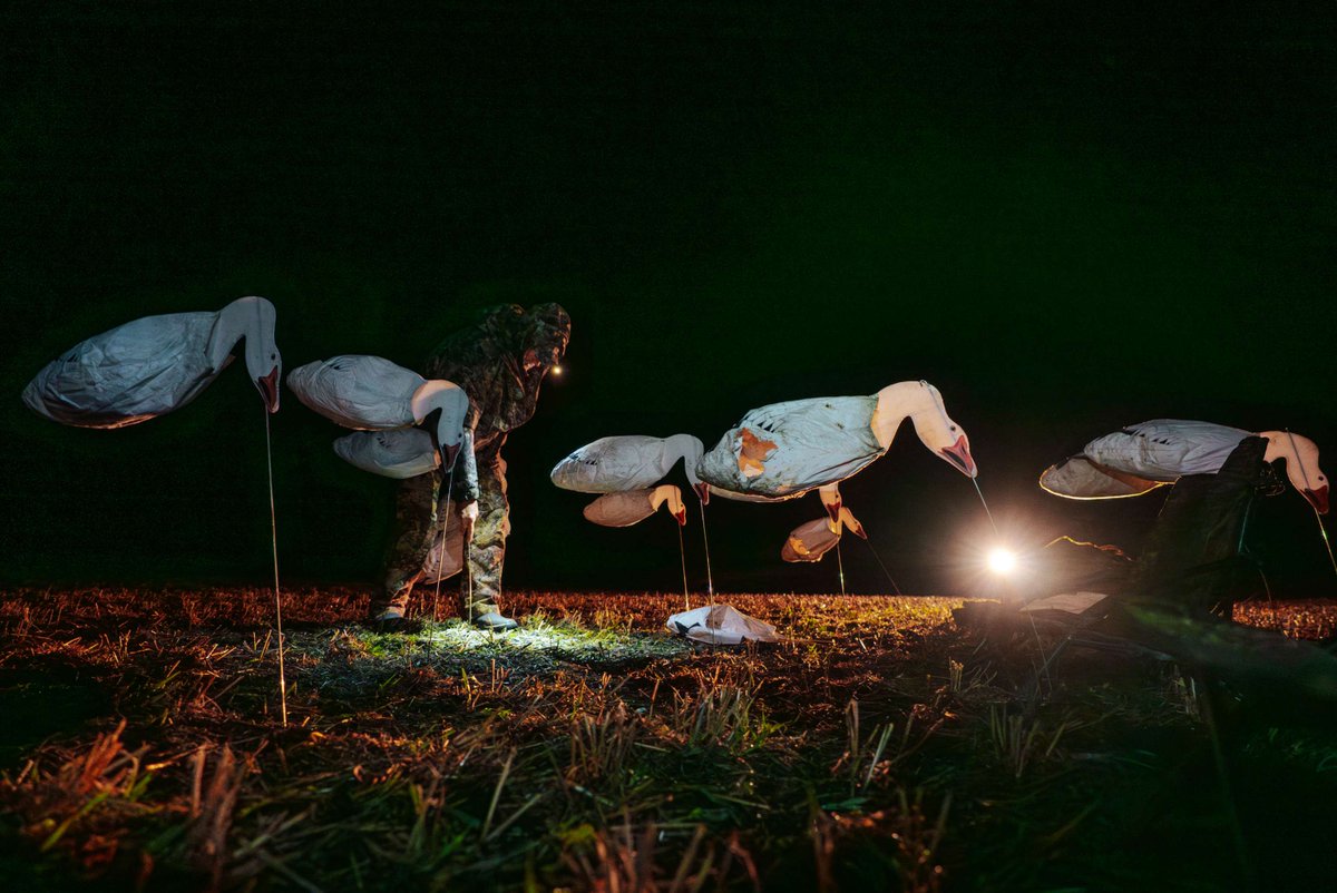 TrueTimber tweet media