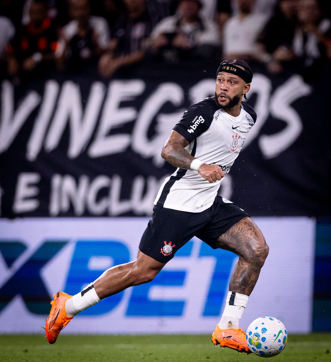 SCCP News tweet media